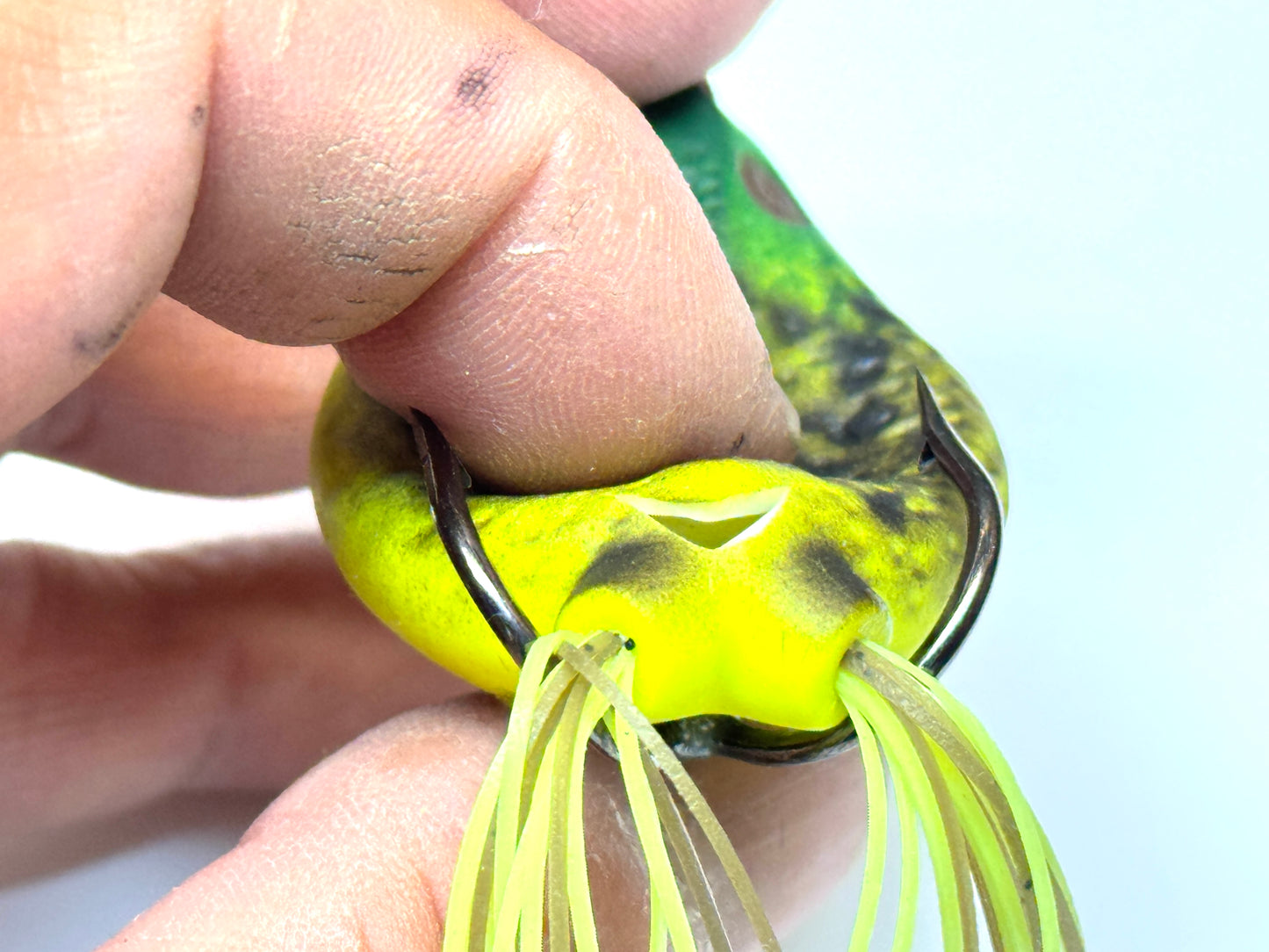 BQ Frog