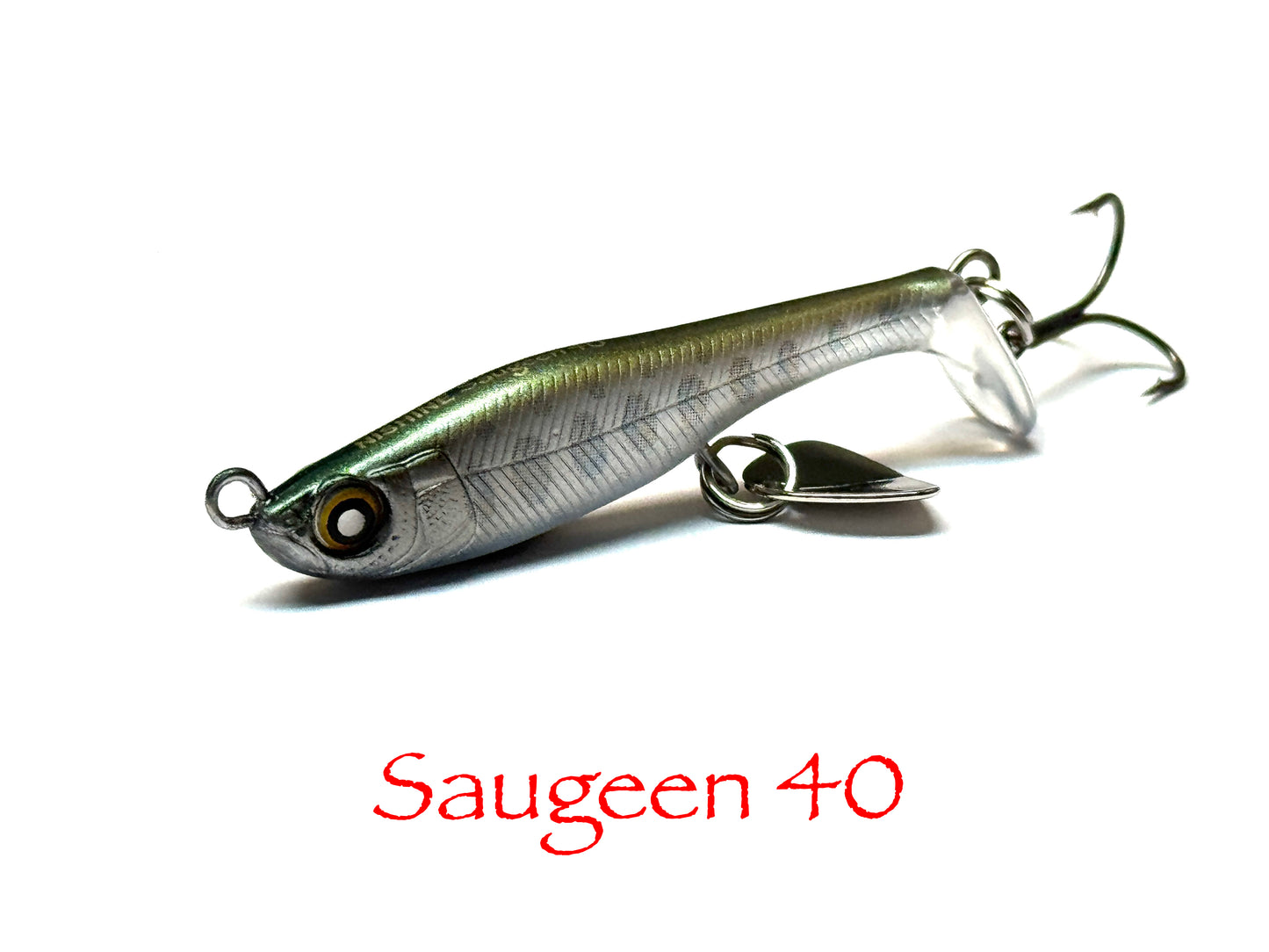 SAUGEEN 40